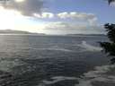 ./images/koeye/fitz-hugh/20201130/fitz-hugh20201130_121502.jpg