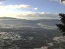 ./images/koeye/fitz-hugh/20201130/fitz-hugh20201130_122002.jpg