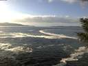 ./images/koeye/fitz-hugh/20201130/fitz-hugh20201130_122502.jpg