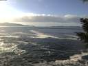 ./images/koeye/fitz-hugh/20201130/fitz-hugh20201130_123002.jpg