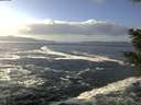 ./images/koeye/fitz-hugh/20201130/fitz-hugh20201130_123502.jpg