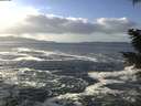 ./images/koeye/fitz-hugh/20201130/fitz-hugh20201130_124502.jpg