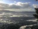 ./images/koeye/fitz-hugh/20201130/fitz-hugh20201130_125002.jpg