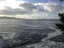 ./images/koeye/fitz-hugh/20201130/fitz-hugh20201130_125502.jpg