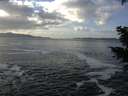 ./images/koeye/fitz-hugh/20201130/fitz-hugh20201130_130002.jpg