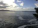 ./images/koeye/fitz-hugh/20201130/fitz-hugh20201130_130502.jpg