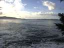 ./images/koeye/fitz-hugh/20201130/fitz-hugh20201130_131002.jpg