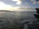 ./images/koeye/fitz-hugh/20201130/fitz-hugh20201130_131502.jpg