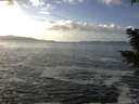 ./images/koeye/fitz-hugh/20201130/fitz-hugh20201130_132002.jpg