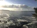 ./images/koeye/fitz-hugh/20201130/fitz-hugh20201130_133501.jpg