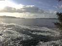 ./images/koeye/fitz-hugh/20201130/fitz-hugh20201130_134001.jpg