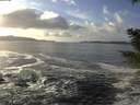 ./images/koeye/fitz-hugh/20201130/fitz-hugh20201130_135001.jpg