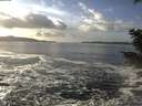 ./images/koeye/fitz-hugh/20201130/fitz-hugh20201130_135501.jpg
