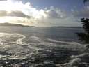 ./images/koeye/fitz-hugh/20201130/fitz-hugh20201130_140501.jpg