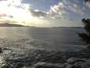 ./images/koeye/fitz-hugh/20201130/fitz-hugh20201130_141501.jpg