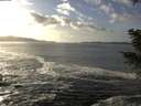 ./images/koeye/fitz-hugh/20201130/fitz-hugh20201130_142001.jpg