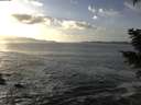 ./images/koeye/fitz-hugh/20201130/fitz-hugh20201130_142501.jpg