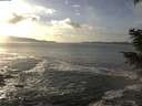 ./images/koeye/fitz-hugh/20201130/fitz-hugh20201130_143001.jpg