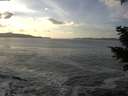 ./images/koeye/fitz-hugh/20201130/fitz-hugh20201130_143501.jpg
