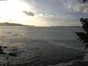 ./images/koeye/fitz-hugh/20201130/fitz-hugh20201130_144001.jpg
