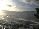 ./images/koeye/fitz-hugh/20201130/fitz-hugh20201130_144501.jpg