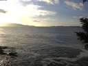 ./images/koeye/fitz-hugh/20201130/fitz-hugh20201130_145501.jpg