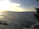 ./images/koeye/fitz-hugh/20201130/fitz-hugh20201130_150002.jpg