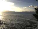 ./images/koeye/fitz-hugh/20201130/fitz-hugh20201130_150501.jpg
