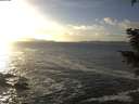 ./images/koeye/fitz-hugh/20201130/fitz-hugh20201130_151001.jpg