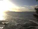 ./images/koeye/fitz-hugh/20201130/fitz-hugh20201130_151501.jpg