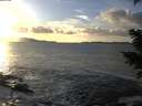 ./images/koeye/fitz-hugh/20201130/fitz-hugh20201130_152501.jpg