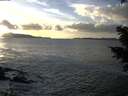 ./images/koeye/fitz-hugh/20201130/fitz-hugh20201130_153002.jpg