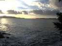 ./images/koeye/fitz-hugh/20201130/fitz-hugh20201130_153502.jpg