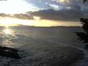 ./images/koeye/fitz-hugh/20201130/fitz-hugh20201130_154502.jpg