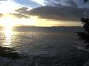 ./images/koeye/fitz-hugh/20201130/fitz-hugh20201130_155002.jpg