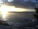 ./images/koeye/fitz-hugh/20201130/fitz-hugh20201130_155502.jpg