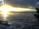 ./images/koeye/fitz-hugh/20201130/fitz-hugh20201130_160002.jpg