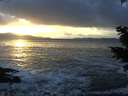 ./images/koeye/fitz-hugh/20201130/fitz-hugh20201130_160502.jpg