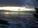./images/koeye/fitz-hugh/20201130/fitz-hugh20201130_161502.jpg