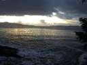 ./images/koeye/fitz-hugh/20201130/fitz-hugh20201130_162002.jpg