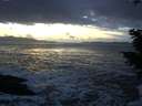 ./images/koeye/fitz-hugh/20201130/fitz-hugh20201130_162502.jpg