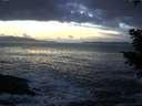 ./images/koeye/fitz-hugh/20201130/fitz-hugh20201130_163002.jpg