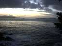 ./images/koeye/fitz-hugh/20201130/fitz-hugh20201130_163501.jpg