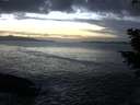 ./images/koeye/fitz-hugh/20201130/fitz-hugh20201130_164501.jpg