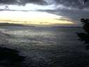./images/koeye/fitz-hugh/20201130/fitz-hugh20201130_165001.jpg