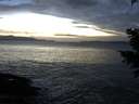 ./images/koeye/fitz-hugh/20201130/fitz-hugh20201130_170001.jpg