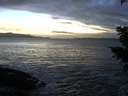 ./images/koeye/fitz-hugh/20201130/fitz-hugh20201130_170501.jpg