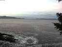 ./images/koeye/fitz-hugh/20201201/fitz-hugh20201201_080001.jpg
