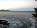 ./images/koeye/fitz-hugh/20201202/fitz-hugh20201202_080002.jpg