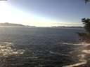 ./images/koeye/fitz-hugh/20201202/fitz-hugh20201202_140002.jpg